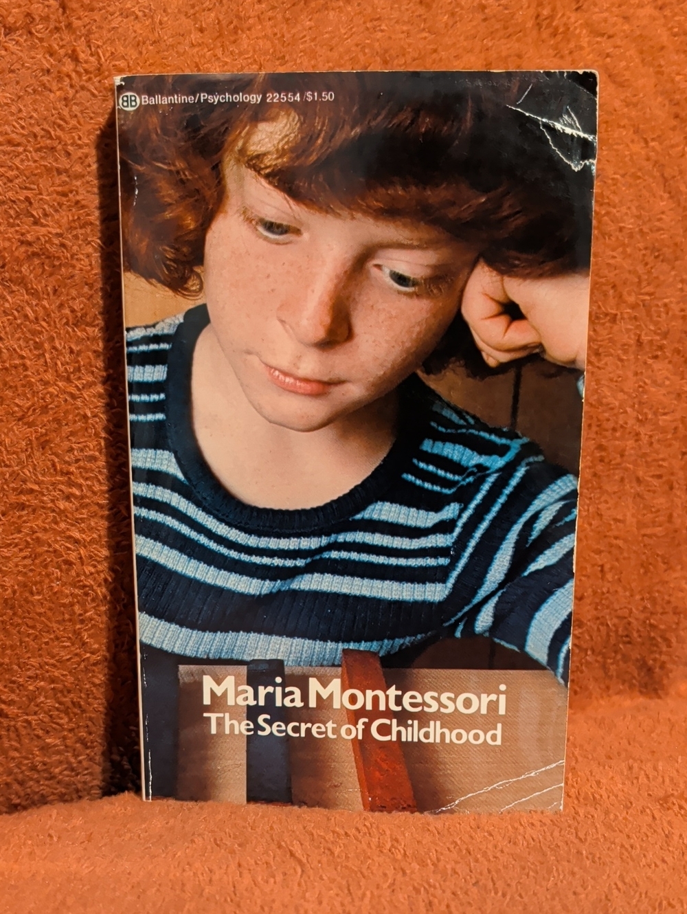 Maria Montessori "The Secret of Childhood" Paperback